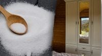 Навіщо класти сіль у ватні диски та ховати в шафу: секретний трюк