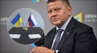 Переговоры с РФ могут стать ловушкой для Украины - Залужный