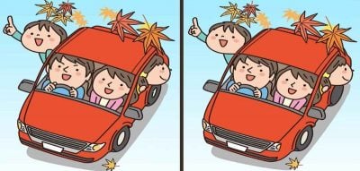 Тест на IQ: потрібно знайти 3 відмінності на картинці сім'ї в авто за 12 с