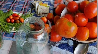 Защита от плесени и мягкости — что добавить в маринованные помидоры