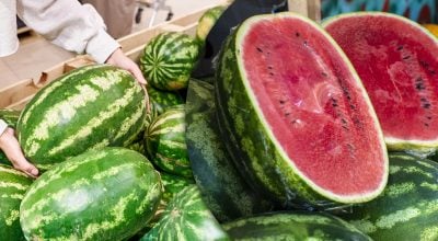 Стиглий кавун можна визначити за кілька секунд: які ознаки видають солодкий плід Стиглий кавун можна визначити за кілька секунд: які ознаки видають солодкий плід