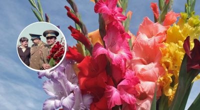 Почему мужчинам в СССР дарили именно гладиолусы: объяснение точно удивит