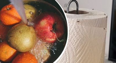 Плодові мушки зникнуть миттєво: які 2 продукти потрібно покласти на кухні