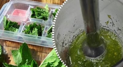 М'ята збереже аромат та свіжість: як заготовити листя на зиму без сушіння
