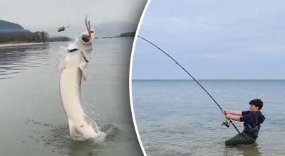 Хлопчик вирішив, що зачепив водорості Хлопчик вирішив, що зачепив водорості