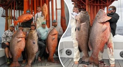 Рыбаки поймали сразу три рыбы, каждая из которых претендует на новый рекорд Рыбаки поймали сразу три рыбы, каждая из которых претендует на новый рекорд