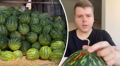 Простой тест показал лучший вариант