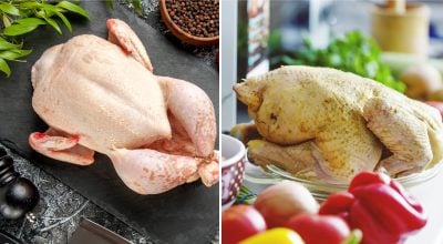 Большинство ошибается: чем на самом деле отличаются куры с желтой и белой кожей Большинство ошибается: чем на самом деле отличаются куры с желтой и белой кожей