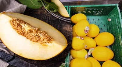 Як вибрати солодку диню за кілька секунд: один простий трюк видасть стиглий плід