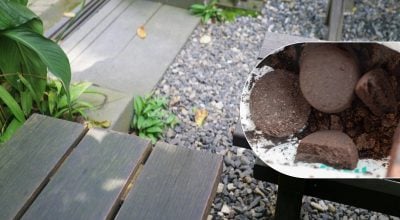 Навіщо залишати кавову гущу на терасі: трюк допоможе вирішити поширену проблему Навіщо залишати кавову гущу на терасі: трюк допоможе вирішити поширену проблему