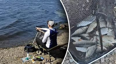 Опытные рыбаки будут завидовать: как наловить гору рыбы в августе Опытные рыбаки будут завидовать: как наловить гору рыбы в августе