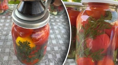 Помидоры на зиму с секретным ингредиентом: рецепт вкусной заготовки за 30 минут Помидоры на зиму с секретным ингредиентом: рецепт вкусной заготовки за 30 минут