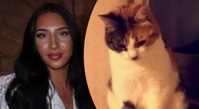 Кошка вернулась к хозяйке спустя 10 лет и сотворила настоящее чудо