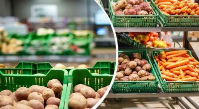 В Україні продовжує дешевшати картопля