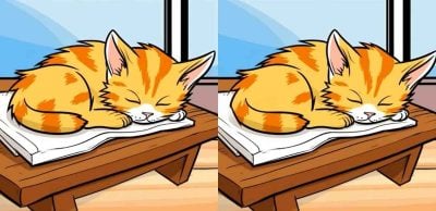 Тест на IQ: потрібно знайти 3 відмінності на картинці сплячого котика за 43 с