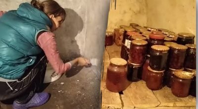 Обробка погреба від цвілі та грибка: названо найефективніший засіб