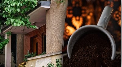 Навіщо розсипати каву біля дверей: несподіваний захист для всієї оселі
