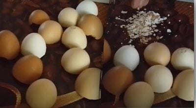 Как приготовить кальциевую подкормку