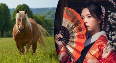 Китайский гороскоп на завтра, 31 августа: Быкам - оптимизм, Лошадям - хлопоты