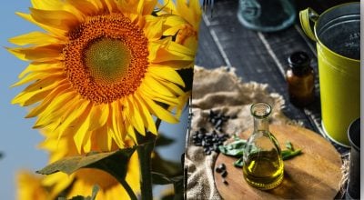 Де категорично не можна зберігати олію: правила, що збережуть продукт
