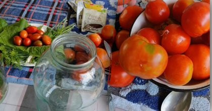 Захист від плісняви та м'якості — що додати до квашених помідорів