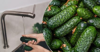 Гіркі огірки більше не проблема: простий спосіб врятувати врожай