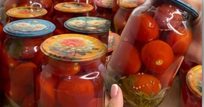 Мариновані помідори без зелені та спецій: простий рецепт на 1 літр води
