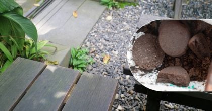Навіщо залишати кавову гущу на терасі: трюк допоможе вирішити поширену проблему