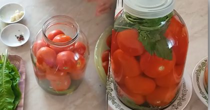 Квашені помідори без оцту та аспірину: найкращий спосіб заготовки