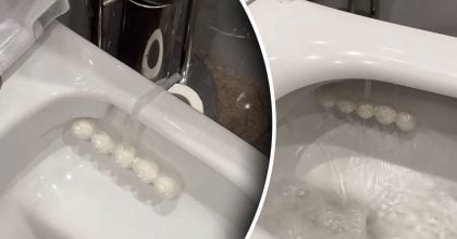 Як зробити освіжувач для унітазу - приємний запах буде триматися тижнями
