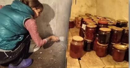 Обробка погреба від цвілі та грибка: названо найефективніший засіб