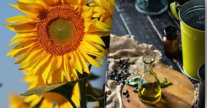 Де категорично не можна зберігати олію: правила, що збережуть продукт