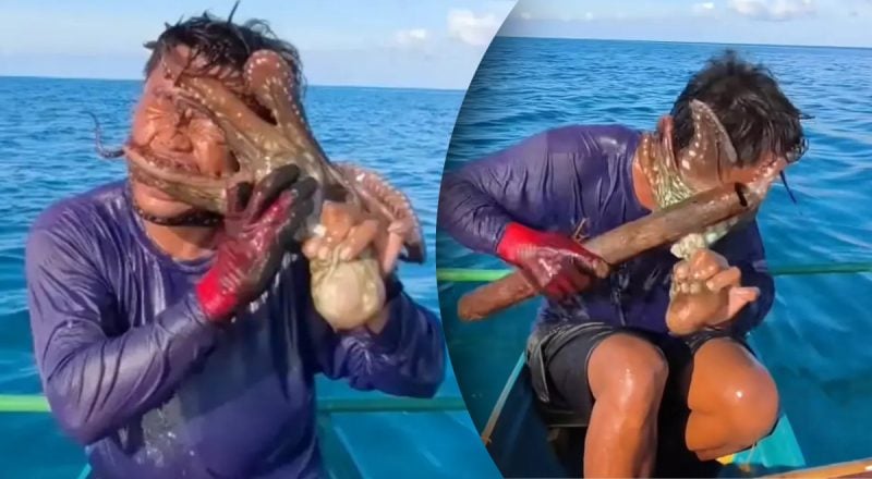 Рыбалка стала кошмаром: морской монстр атаковал мужчину прямо в лодке
