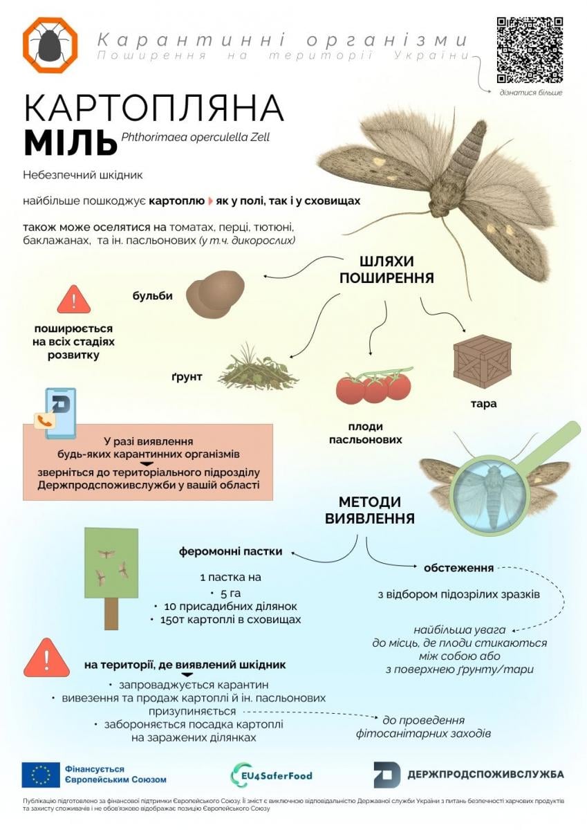 Картопляна міль