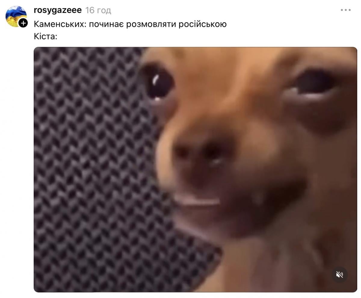 Киста Насти Каменских взорвала соцсети 