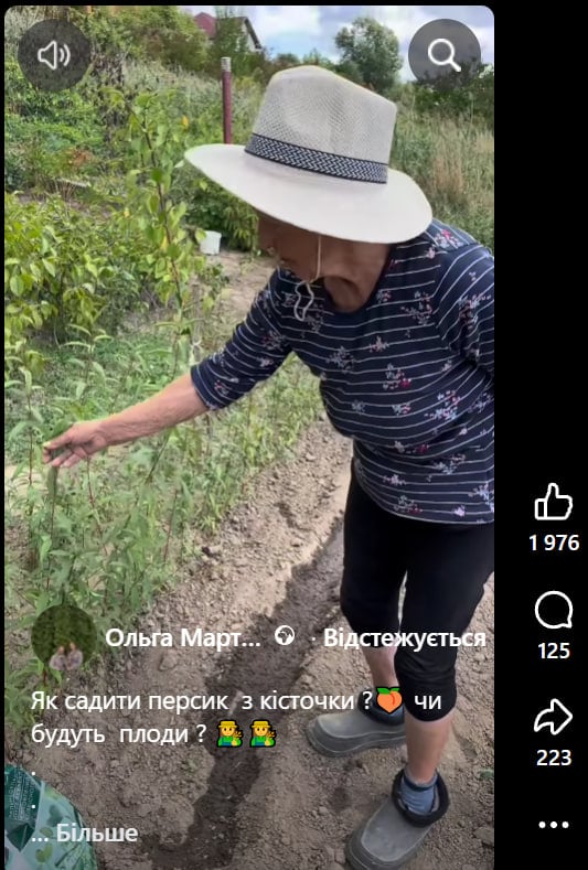 Сладкий персик вырастет из косточки: садовница показала пошаговый метод посадки