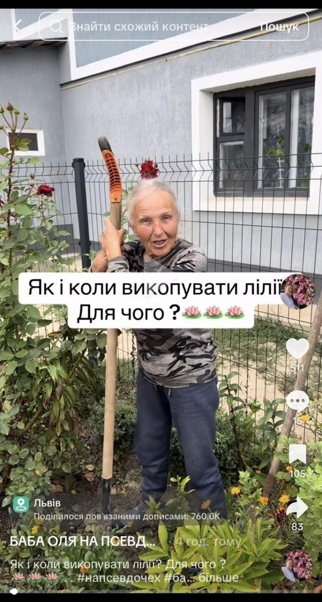 Коли викопувати та як садити лілії восени: секрет досвідченої садівниці Коли викопувати та як садити лілії восени: секрет досвідченої садівниці