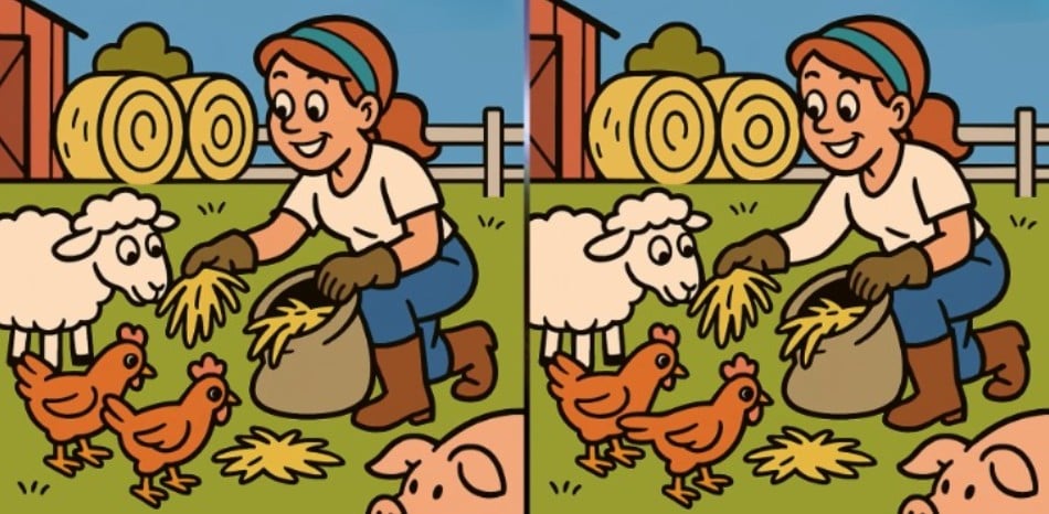 головоломка