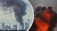 У Ленінградській області РФ - масштабна пожежа: ГУР уразило "Новатек-Усть-Луга"