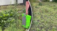Сорняки засохнут без усилий: нужна одна вещь, которая найдётся в доме