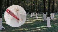 Як сказати українською ізвєсть: більшість досі говорить неправильно