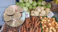 В Украине обвалились цены на популярный овощ: сколько он теперь стоит
