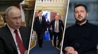 Зеленський заявив про "дуже непогані" мирні ідеї та анонсував зустріч з Трампом