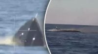 Україна розгромила РФ у першому в історії морському бою дронів - ВМС