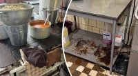 Просроченные продукты и антисанитария: в Украине проверили школьные пищеблоки