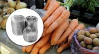 Мінус 10% за тиждень: в Україні подешевшав популярний овоч, які тепер ціни