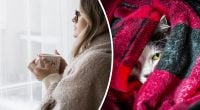 Как сделать комнату теплее без отопления: забытый, но действенный способ