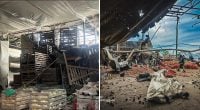 РФ завдала удару по фермі на Харківщині: загинуло шість аграріїв, 12 - поранено