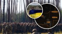 Сотни пленных окупантов и освобожденные села: новые подробности операции "Вивальди"