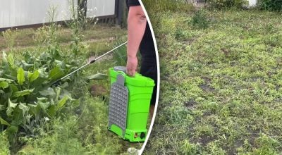 Бур'яни засохнуть без зусиль: потрібна одна річ, яка знайдеться вдома Бур'яни засохнуть без зусиль: потрібна одна річ, яка знайдеться вдома